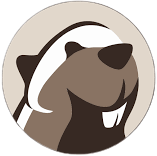 dbeaver